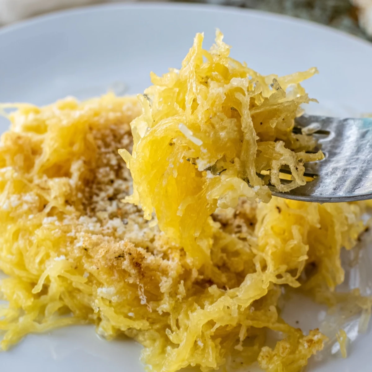 Roasted Spaghetti Squash Mac Cheese tossed with cheddar sauce, herb garnish  